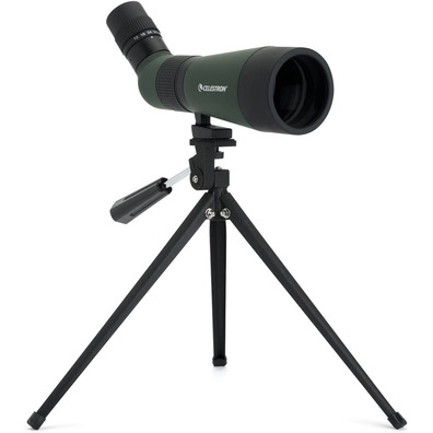 Telescopio Terrestre Celestron LandScout 12-36x60 45º