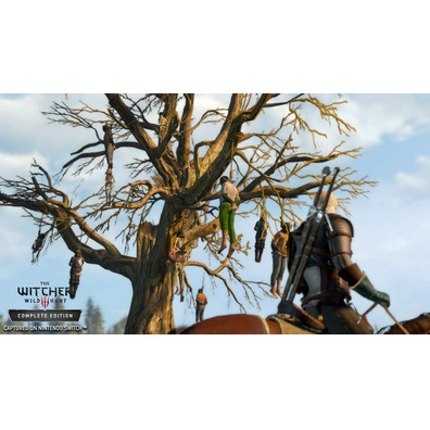 The Witcher 3: Wild Hunt Switch