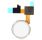 Repuesto botón home Nexus 5X Blanco