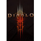 Camiseta Diablo III Face