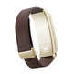 Huawei TalkBand B2 Gold