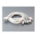 Cable componentes para iPhone/iPad/iPod