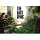 Consola Playstation 3 (500 GB) + The Last of Us