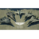 Ace Combat 7: Skies Unknown Top Gun Maverick Xbox One