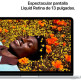 Apple Macbook Neo (2026) 13" A18 Pro 8GB RAM 256GB SSD Plata