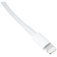 Cable de Carga Apple MD819ZM/A Lightning a USB (2m)