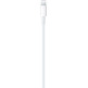 Cable de Carga Apple MQGH2ZM/A USB-C a Lightning (2m)