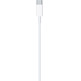 Cable de Carga Apple MQGH2ZM/A USB-C a Lightning (2m)