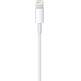 Cable de Carga Apple MXLY2ZM/A Lightning a USB (1m)