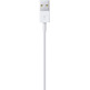 Cable de Carga Apple MXLY2ZM/A Lightning a USB (1m)