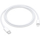 Cable de Carga Apple USB-C a Lightning (1m)