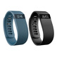 Pulsera de Actividad FitBit Charge Talla Pequeña Negro