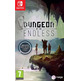 Dungeons of the Endless Switch