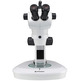 Estereomicroscopio Bresser Science ETD-201 Trino