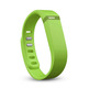 Pulsera de Actividad FitBit Flex Pizarra