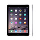 iPad Air 2 16Gb Gris Espacial