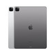 iPad Pro 2022 12,9'' M2 2 TB Wi-Fi + Gris espacial