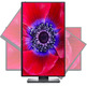 Monitor LED 25'' Dell Ultrasharp U2520D Negro