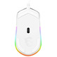 Ratón MSI Clutch GM11 White