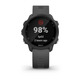 Reloj Deportivo Garmin Forerunner 245 Gris GPS/Pusioximetro