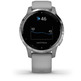 Smartwatch Garmin Sport Vivoactive 4S Gris Plata