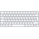 Teclado Inalámbrico Apple Magic Keyboard MK2A3Y/A Plata