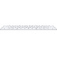 Teclado Inalámbrico Apple Magic Keyboard MK2A3Y/A Plata