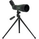 Telescopio Terrestre Celestron LandScout 12-36x60 45º