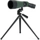 Telescopio Terrestre Celestron LandScout 12-36x60 45º