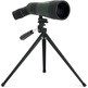 Telescopio Terrestre Celestron LandScout 12-36x60 45º