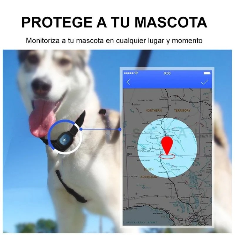 Localizador GPS para niños Pikavú