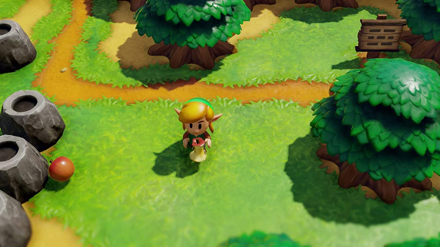 Legend Zelda Link's Awakening Remake Switch
